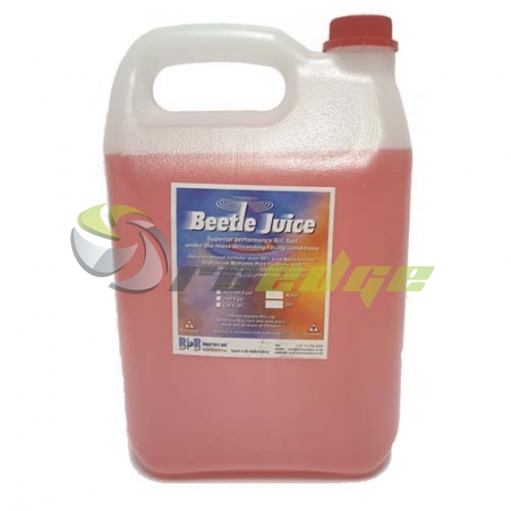 Beetle_Juice_Airplane_5L